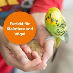 Ardap Milben- Und Zeckenspray Für Nager Und Vögel 100ml -Haustier Lieferungen Verkauf 68a588b27c2bdeb958613c196e70f41522c1ca73 1352522 de DE 1626057c073e83595c48b5e38365b5bb10e0c4acyC8yCA