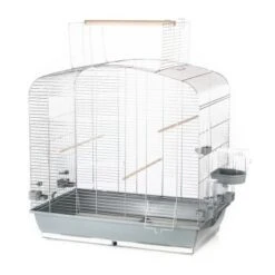 Interzoo Vogelkäfig Sara II 8 Interzoo Vogelkäfig Sara II -Haustier Lieferungen Verkauf 6b66794810b0c99c074810d05bc07c37415c56ae 40301ce63b79a9685489cca850e50029ca61e2b3