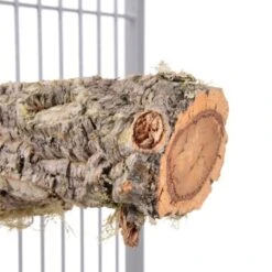 HappyBird Sitzstange Natur Kork L 15 HappyBird Sitzstange Natur Kork L -Haustier Lieferungen Verkauf 6d0844a7f422e6e4f6d2b4a1c2445fcf479ee982 1416844 de DE d001d22e180e742217b40dd4057bd56a2e5e966aWpo2YW