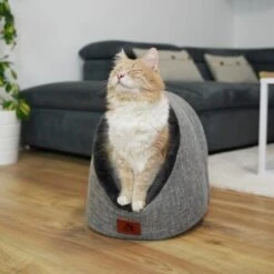 Schlitzohr Katzenhöhle Oskar Grau 20 Schlitzohr Katzenhöhle Oskar Grau -Haustier Lieferungen Verkauf 6dc322d0c0c691311c750126461acbb0bfd7f106 1484676 de DE cf48f7f4d140da3e59fb3189e3029debd29d4937tKSJNT