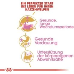 ROYAL CANIN Maine Coon Kitten 4 Kg 11 ROYAL CANIN Maine Coon Kitten 4 Kg -Haustier Lieferungen Verkauf 762fe3d95c521f1c9aed31bc11ea5f813cb64625 48abad1c00ba32352c5f4e40b8a5a9d5e4dec65f