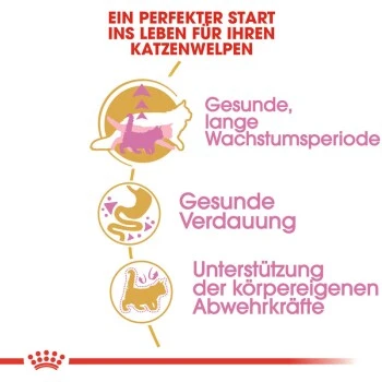 ROYAL CANIN Maine Coon Kitten 4 Kg 6 ROYAL CANIN Maine Coon Kitten 4 Kg – Bild 4