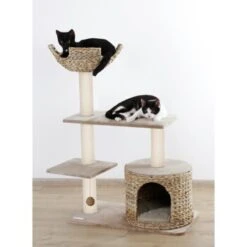 Kerbl Kratzbaum Banana Leaf Jade 8 Kerbl Kratzbaum Banana Leaf Jade -Haustier Lieferungen Verkauf 76da0e2291b796ed5e6d437459db13ca9d50faaa 9bb330ca7b7ab6e046ff929a6710ba8bd89b78aa