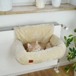 Schlitzohr Heizungsliege Lucky Beige 14 Schlitzohr Heizungsliege Lucky Beige -Haustier Lieferungen Verkauf 7bab29708c56b6f70695735987b821094f74efb9 1484673 de DE 775053056e82816b2424b888f536a523a0880ea7ZfMupV