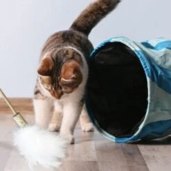 Kater Kasimir Premium Paket Mit 7 Beliebten Katzenspielzeugen Aus Naturmaterial -Haustier Lieferungen Verkauf 84f221d79ef76f1b4f2f0037d329c11c6fce3a33 1408152 de DE 294269527f07b1898ca7562c986e956043828d3cA8xBpO