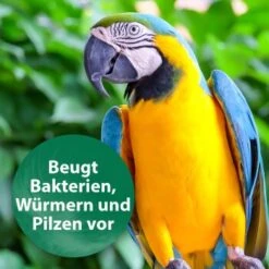 Quiko Med V Liquid 100 Ml: Mit Hochwertigem Oregano-Öl Für Ziervögel -Haustier Lieferungen Verkauf 88a4d869da906e8aaa1074413d2b5765c37fe51c 1387820 de DE 18f5cb5cc5b0a1074c44f20b530fefedca292a50auwynr