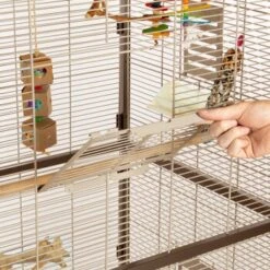 Montana Cages Voliere Paradiso 90 Schoko -Haustier Lieferungen Verkauf 8a51e1e8340559f25f4320aa285908e55a235d2f 1200892 de DE 0576ffe209ea05253ebe1a6e08466fe13ae3f4a3jFC7T8