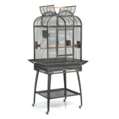 Montana Cages Voliere Havana Dunkelgrau 17 Montana Cages Voliere Havana Dunkelgrau -Haustier Lieferungen Verkauf 8c5dda96dcd1ea5fa941a34eb267552d97b45cb0 1070399 de DE cb0ae5e208fd4e2582ee831e9287d89255e31f8050vrNy