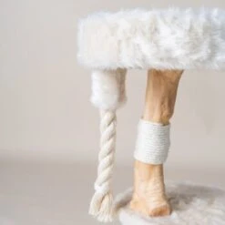 RHR Quality Kratzbaum Furry Bengal -Haustier Lieferungen Verkauf 8e4b302aa68b1aa4717ab40aed9197e0f05a717f 1670222 de DE 8c11b1d9c5757fc3a9d660f578d3a4a029bfe772GnnA51