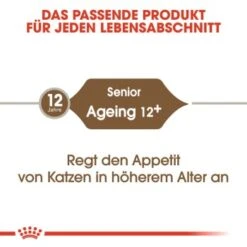 ROYAL CANIN Ageing 12+ 2 Kg 17 ROYAL CANIN Ageing 12+ 2 Kg -Haustier Lieferungen Verkauf 8fcfc6969b96c8976c1df0e8b4f4ba47760167be 81e87f8f8b36971260045c3586383e80be969663