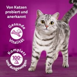 Whiskas Tasty Mix Multipack Chef's Choice In Sauce 40 X 85g 18 Whiskas Tasty Mix Multipack Chef's Choice In Sauce 40 X 85g -Haustier Lieferungen Verkauf 90c69f8b60998b1e42a320aa3c632d7b173d2464 1410720 de DE Whiskas 7