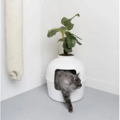 RHR Quality Katzentoilette Flower XXL -Haustier Lieferungen Verkauf 93f503e3b5e2d21cc0461e97d9127562df0337e6 1641853 de DE 1e822790dd4545375dbf65f839e659bd6b299a76bokJue
