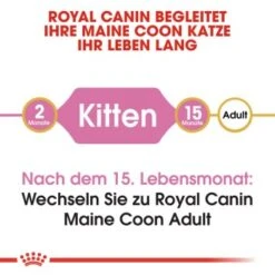 ROYAL CANIN Maine Coon Kitten 4 Kg 12 ROYAL CANIN Maine Coon Kitten 4 Kg -Haustier Lieferungen Verkauf 9494efda15798aa930f4c836c086824869519e76 d153c89f98a812830b790602e2c1dd84504c30b9