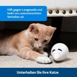 PetSafe Automatisches Katzenspielzeug RoloRat -Haustier Lieferungen Verkauf 97df3eec34472f4ac76f2a0bbe4e75fdbbe02b64 1351522 de DE 83c2d308e962c4b6c64101ee39311b3a61647f71n2yR1C