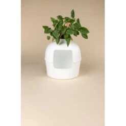 RHR Quality Katzentoilette Flower XXL -Haustier Lieferungen Verkauf 9a175089ef2e18d9c2c6261d746d3512930c312f 1641853 de DE fe53414878bfaf3647b8be741b079914a6bd2e93iOsifJ