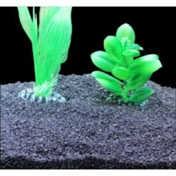 Silbermann Ocean Black Sand Grob 5 Kg -Haustier Lieferungen Verkauf 9d04cae9baa2732ce38cf0050bb875dc5d98f91b 1490316 de DE 228e5cd0f03c05657172dd4cfdf0b36ad495e867jf8tyC