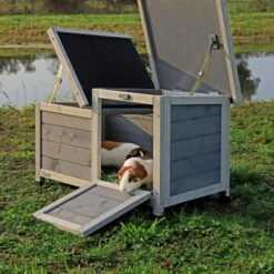 Lionto Kleintierhaus, Hellgrau -Haustier Lieferungen Verkauf 9d5aa4b80d994a15aaae0980907eba6d9cdb6116 1498022 de DE e6a11da58c22a78caa9ce16194394a1f9e88b942CvTEpn