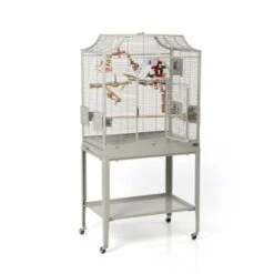 Montana Cages Vogelkäfig Madeira I -Haustier Lieferungen Verkauf a0773b8196e718a4dc882297489c2c3ff866ebfa 1070554 de DE 5d0ef5ad7f116f1f82f971f32033b2821b680d50cv7prE