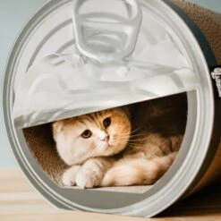 District 70 CAN Cardboard 9 District 70 CAN Cardboard -Haustier Lieferungen Verkauf a4cd0fa7850dfd13b737775762ce59afa0fa6bcc dc81845d134bfb19e2eca4e5bc9344d6856acd6a