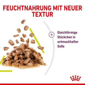 ROYAL CANIN SENSORY Smell In Soße Für Wählerische Katzen 12x85g 6 ROYAL CANIN SENSORY Smell In Soße Für Wählerische Katzen 12x85g – Bild 4