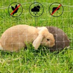 Lionto Katzennetz Inkl. Befestigung -Haustier Lieferungen Verkauf ad1b651d8bcc461ab7a5d32a4c77b44e521cf768 1665913 de DE 7c500006d9abf3223e26fa8841d70bed2db024adIv4nbt