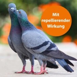 Ardap Spot-On Für Ziervögel & Brieftauben -Haustier Lieferungen Verkauf ae58a2b8111f99b0d5f141011cb4d5292b63d3c9 1227326 de DE 177446f52341c8e701898dbab4eaebf3cf8dbc70uMQM7k