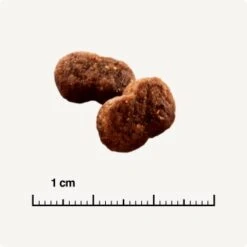 SELECT GOLD Hair+Skin Senior Geflügel & Lachs 2,5 Kg 12 SELECT GOLD Hair+Skin Senior Geflügel & Lachs 2,5 Kg -Haustier Lieferungen Verkauf b42128ae83c41454d6be7d6047b7c0aaed5f051a 1001086011 de DE 6