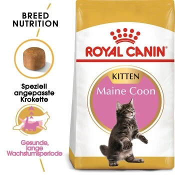 ROYAL CANIN Maine Coon Kitten 4 Kg 3 ROYAL CANIN Maine Coon Kitten 4 Kg