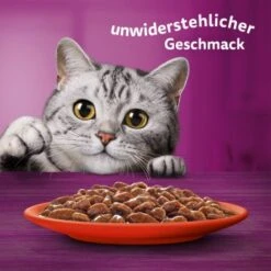 Whiskas Mega Pack 1+ Klassische Auswahl In Sauce 40 X 85g -Haustier Lieferungen Verkauf b8bf2de8eb7738000e5afc2cec07342be5657174 1410718 de DE Whiskas 6
