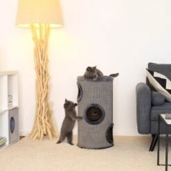 Lionto 70cm Kratztonne Mit Sisal Kratzturm Grau -Haustier Lieferungen Verkauf b9c579c02bd4b27a7cd2c8ab87d2c0034bf4adec 1657064 de DE e973731c60583050766ad0958ba52886adfe9853tk4Wok