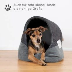 KaraLuna Katzenhöhle 12 KaraLuna Katzenhöhle -Haustier Lieferungen Verkauf b9e0f78e84940fe27a91248cd7c8880bf5f0129d 1407464 de DE 9a2a2969f12da9c95b07df8a19892b19411f8b3d9QK17z