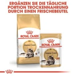 ROYAL CANIN Maine Coon Adult 10 Kg -Haustier Lieferungen Verkauf bb49229a5ea131e61696b5113e7051c42a7b294c 9ba2e20f5d6d64554cc5e687fd2050760fcc866d