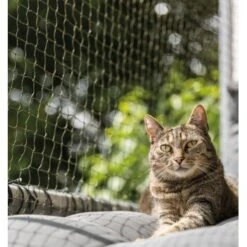 Trixie Katzenschutznetz Cat Protect 2 M, 1,5 M 7 Trixie Katzenschutznetz Cat Protect 2 M, 1,5 M -Haustier Lieferungen Verkauf bc6f0b8052c3a5b997776619d64762770aac1a9d 1017572 de DE trixie schutznetz wb2