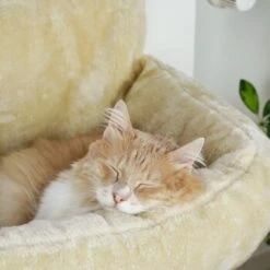 Schlitzohr Heizungsliege Lucky Beige 20 Schlitzohr Heizungsliege Lucky Beige -Haustier Lieferungen Verkauf bdc02033928d033279e49ebefe91371e629dfd2f 1484673 de DE 4daf09016934a9074c92f48c173e840fa6385a4agwWEjb