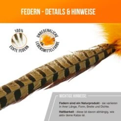 Schlitzohr Federwedel Birdy 3er Pack 20 Schlitzohr Federwedel Birdy 3er Pack -Haustier Lieferungen Verkauf bdc9ecaec43f47b36019280ae7e788c534174412 1659562 de DE 36b11fb8804ed0ab3e1a5483fcd8be597379266daxQShR