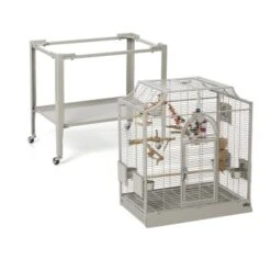 Montana Cages Vogelkäfig Madeira I -Haustier Lieferungen Verkauf be15c7f73619f61795ff8abe4097426283ef1576 1070554 de DE ef20eefb92bc0d7466e5acf1b3c7ed6303e6e90a7JnMl7