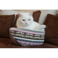 Canadian Cat Company Katzenschiff LUNA -Haustier Lieferungen Verkauf c5199e138f2fe216fa2667ac472c02467ee2b4cc 1412669 de DE 8c9e8073172561101b2fa67b1fad0165a0982bd3TIZCAE