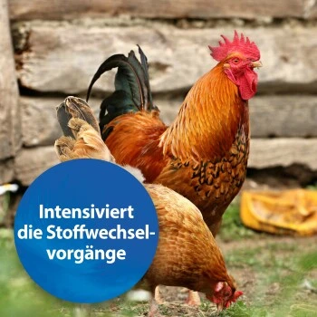 Quiko Plus 400 G: Extra Proteine Für Jungvögel 4 Quiko Plus 400 G: Extra Proteine Für Jungvögel – Bild 2