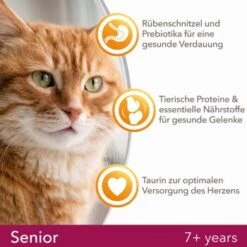 IAMS Vitality Senior Huhn 10kg -Haustier Lieferungen Verkauf ce3e26a6f175724598fdf6e2b7b6bc8f7fa047c6 d7ce23295bdb5edbb7f4edf686f630cb7b55a5fb