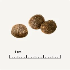 REAL NATURE WILDERNESS Adult Probierpaket Mixpaket 1, Mix-Pack -Haustier Lieferungen Verkauf d13ec079dfc733868201f90c68c1160fb8a8b3ec 1267094 de DE 6