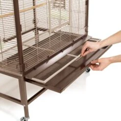 Montana Cages Voliere Villa Casa 90 10 Montana Cages Voliere Villa Casa 90 -Haustier Lieferungen Verkauf d3e1acc4f4fea95d5e1ff3eb5a4418e7ec0d97f9 1039422 de DE cee2563bfecbea93636721e8f6876b8ca1589c54fMY38l