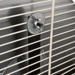 Wagner Montana Cages Metall-Laufrad Ø 38cm -Haustier Lieferungen Verkauf d617bd4dfbc1724778c20b1c5755c0a1ef592d48 1484280 de DE 05a82c0dc36325300cf7e58e8159a2a6bf92c5f4CacJUu