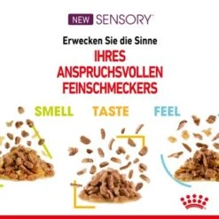 ROYAL CANIN SENSORY Feel In Gelee Für Wählerische Katzen 12x85g -Haustier Lieferungen Verkauf d6502c586802b23949b15c90f20d4546a6f09a7f e745208c5aa2a8b9719bb9a473f581425099ccc6
