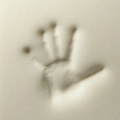 Rexproduct ORI Orthopädische Matratze Dunkelgrün S -Haustier Lieferungen Verkauf d89d5b6f50430f96eb3dfe0b37377735b0ca4870 1478508 de DE 4a05f204198aead29f7c6fcb2b828fd649f99213W8zvJB