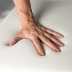 Rexproduct ORI Orthopädische Matratze Dunkelgrün S -Haustier Lieferungen Verkauf db19b29b43d93ab529c11e4589f24d793e408cfa 1478508 de DE 63168fbbd3fa15b9bd0726577d3e6276910962cc6C8sZQ