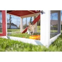 AniOne Kleintierstall Woody Ranch 21 AniOne Kleintierstall Woody Ranch -Haustier Lieferungen Verkauf db28ed601cc7e596f155015c17f7fdf71fd47419 1351785 de DE AniOne.10