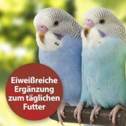 Quiko Bierhefe 400g: Eiweißreiche Ergänzung Zum Täglichen Futter Für Ziervögel -Haustier Lieferungen Verkauf dbea3a9534bfd87d9c3612a707b4b2a72d3b88e8 1386526 de DE 81b3ddf78d2ba1575bc8dd1b556a4d784786c157kjWBy7