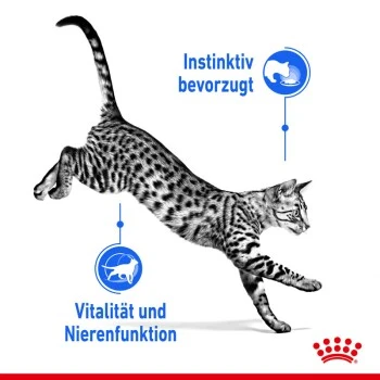 ROYAL CANIN Indoor 7+ Sterilised 12x85g In Gelee 6 ROYAL CANIN Indoor 7+ Sterilised 12x85g In Gelee – Bild 4
