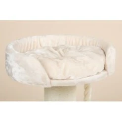 RHR Quality Kratzbaum Chartreux -Haustier Lieferungen Verkauf dde5ac5d5e858895d010c0d9a26b9f63df3773cd 1657336 de DE 6bcca9079bf53177cf029622803340e937ccd52eDdm5RL