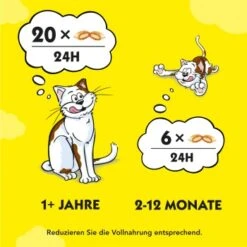 Dreamies Snack-Vielfalt 12x60g 13 Dreamies Snack-Vielfalt 12x60g -Haustier Lieferungen Verkauf e1b190f4f53100ff83c0fb6481ba747fb1f78bad 1297459 2